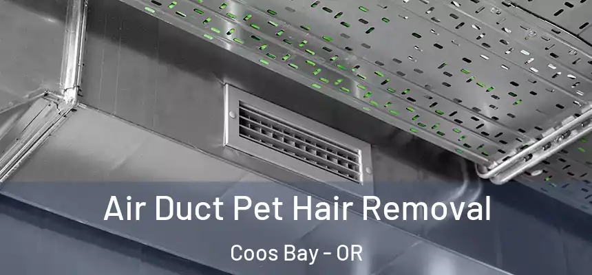  Air Duct Pet Hair Removal Coos Bay - OR
