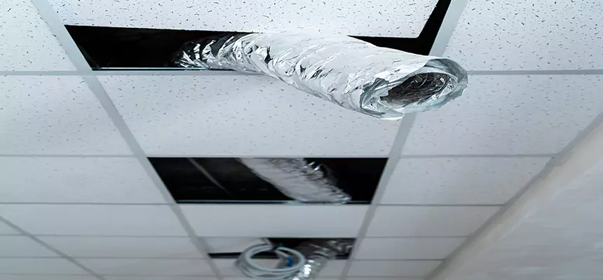 Our Air Duct Pet Hair Removal Services in Coos Bay, OR