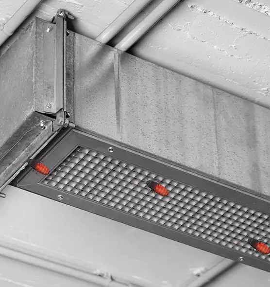 About Air Duct Cockroach Removal in Coos Bay, OR