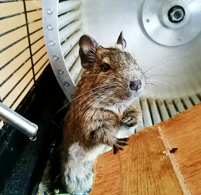 Why Homeowners & Businesses Trust Us Coos Bay, OR?