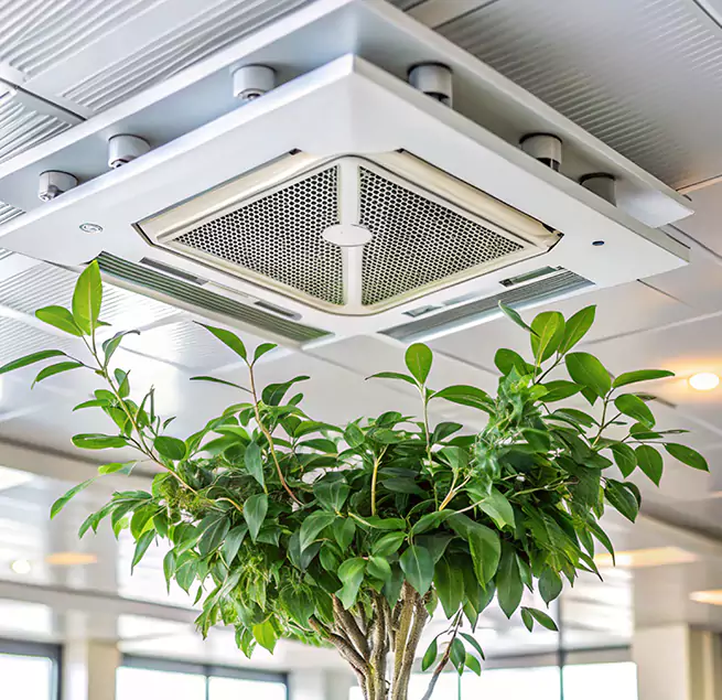 Why Homeowners & Businesses Trust Us in Coos Bay, OR