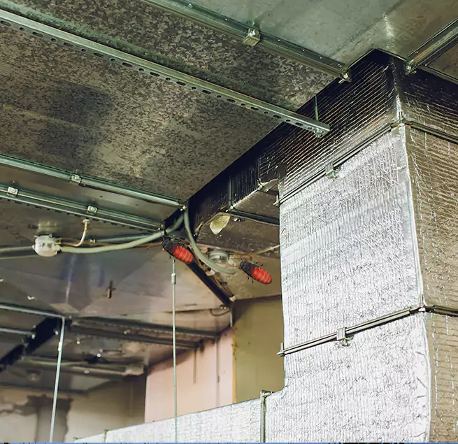 Why Homeowners & Businesses Trust Us Coos Bay, OR?