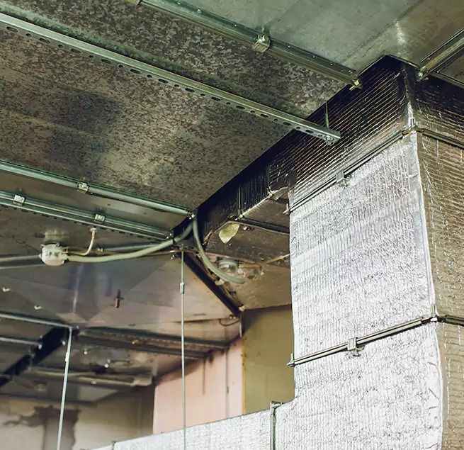 Why Homeowners & Businesses Trust Us in Coos Bay, OR?